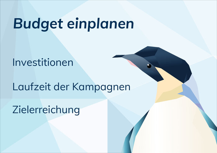 Das passende Budget für Ihre Kampagnen mit der Digitalagentur aus Bamberg!