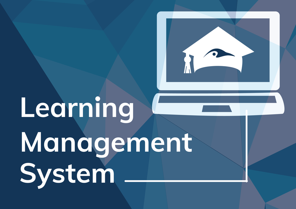 Learning Management System von der PRinguin Digitalagentur aus Bamberg
