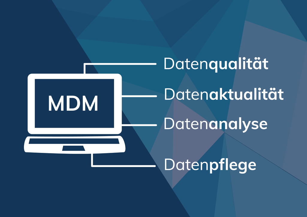 Master Data Management Lösungen von der PRinguin Digitalagentur aus Bamberg
